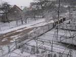 Сніг 03 квітня2015 - 2.JPG