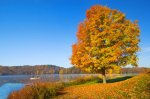 Landscape57.jpg
