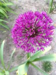 upload_2015-4-5_21-27-47.jpeg