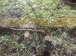 2015-04-04 14.34.43.jpg