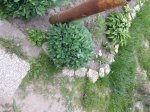 IMG_1129-м.jpg