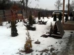 20150117_143149.jpg