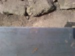 DSC01012.JPG