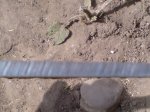 DSC01010.JPG