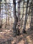 IMG_3234.JPG