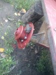 DSC01318.JPG