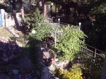 лугош виноград з мансар.JPG