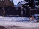 ворота хвіртка.JPG