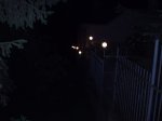 лампи на паркані вночі.JPG