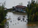 DSCN9567.JPG