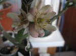 IMG_1990.jpg