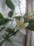 IMG_1994.jpg