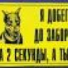 geno4ka1965