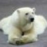 Paw?owska