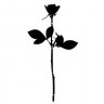 taran_ob
