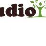 Дизайн Studio29