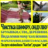 andryyrist