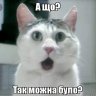Yuzer
