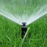 GREENPlanet