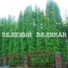 Zeleny_Velikan