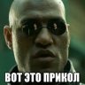 Vital013