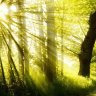 the_sun_day