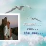Сергей sp2003