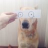 Александр Первый
