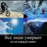 Серега Маляр