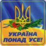 olg66