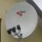 UAsat