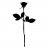 taran_ob