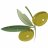 GreenOlive