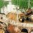 RomanT-34