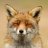 ysfox