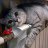 Yulia_Energy