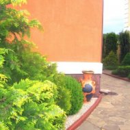 img_263_1961.jpg