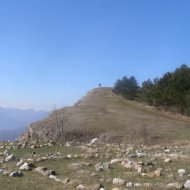 img_312_2193.jpg