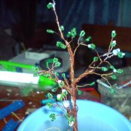 img_576_2439.jpg