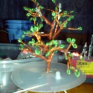 img_579_2439.jpg