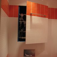 img_732_813.jpg