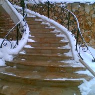 img_802_313.jpg