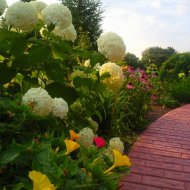 img_1423_20911.jpg