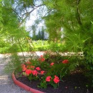 img_1428_20911.jpg