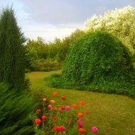 img_1432_20911.jpg