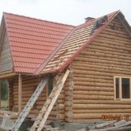 img_1610_2401.jpg