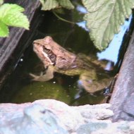 img_1841_24233.jpg
