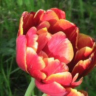 img_1850_24233.jpg