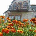 img_1851_24233.jpg