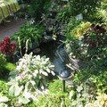 img_1853_24233.jpg